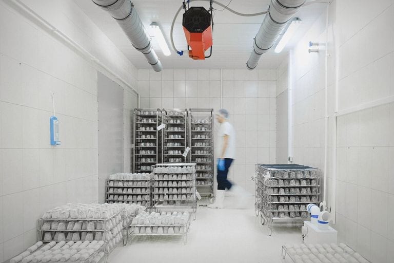 Cold-room operator handling food and beverage freight